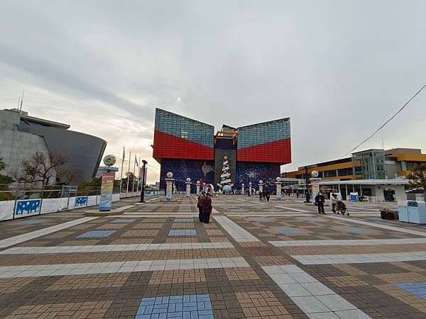 IMG_20230203_150014.jpg