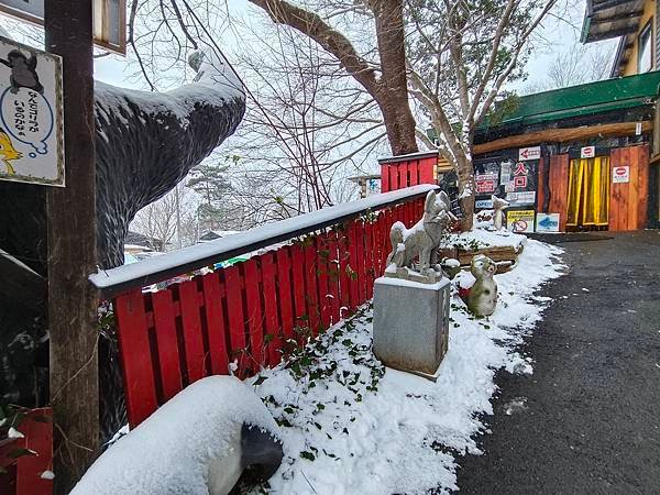 【宮城】藏王狐狸村