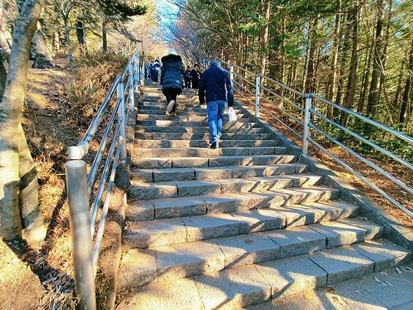 【河口湖】新倉富士淺間神社