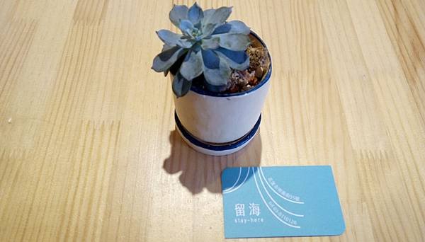 IMAG0757.jpg