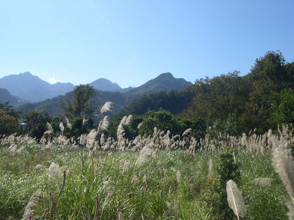 三場景2.jpg