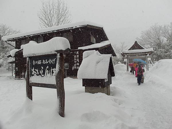 SAM_3800.JPG