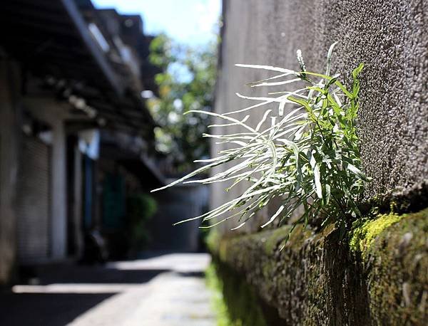 102.05.25瑞芳之2.JPG