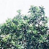 96670037.JPG