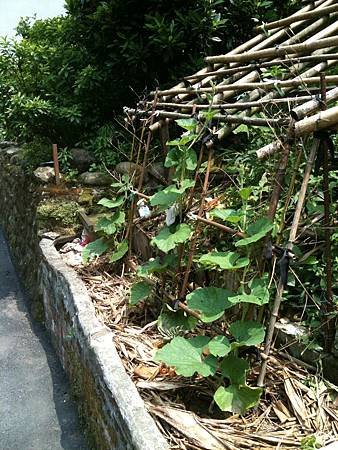 IMG_0199.JPG