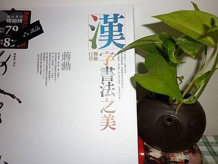 P1000036.JPG