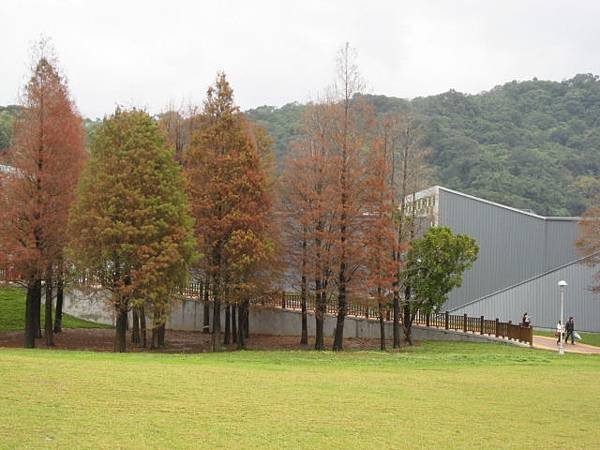 大湖公園~隨拍(12月)