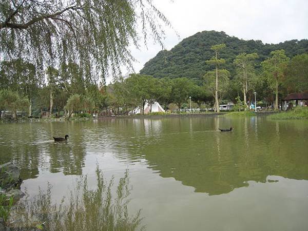 大湖公園~隨拍(12月)