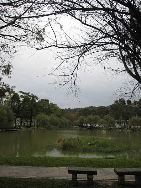 大湖公園~隨拍(12月)