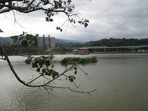 大湖公園~隨拍(12月)