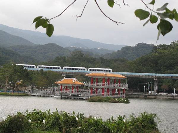 大湖公園~隨拍(12月)