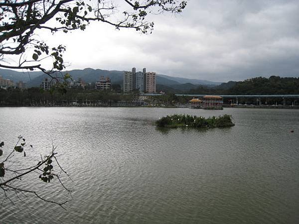 大湖公園~隨拍(12月)