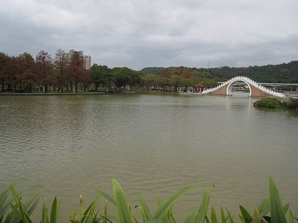 大湖公園~隨拍(12月)