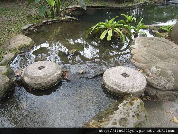 千樺花園餐廳~隨拍