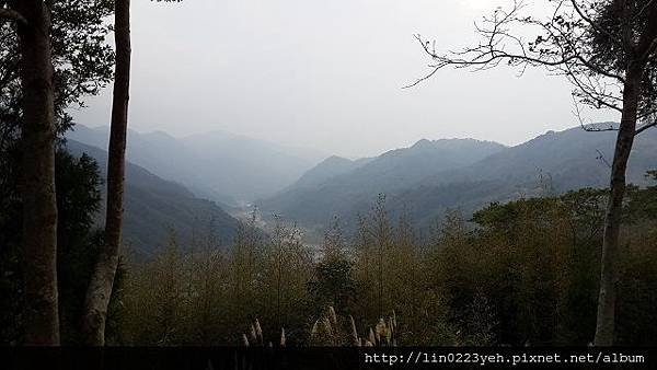 薰衣草森林~隨拍.