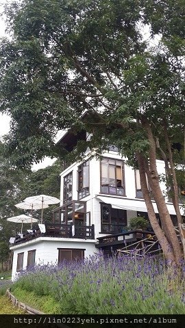 森林咖啡館 