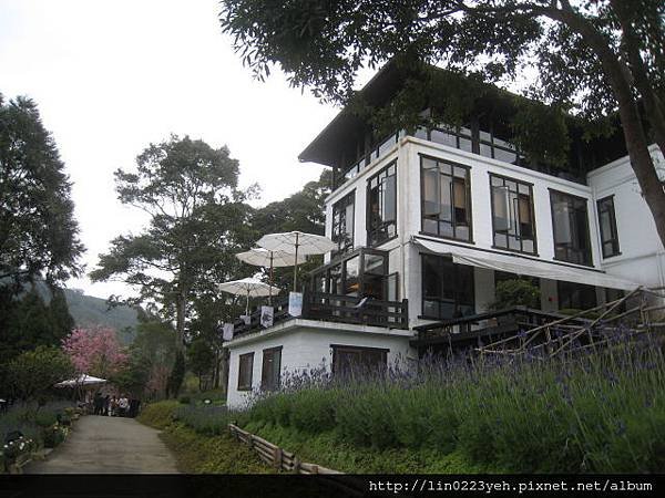森林咖啡館.