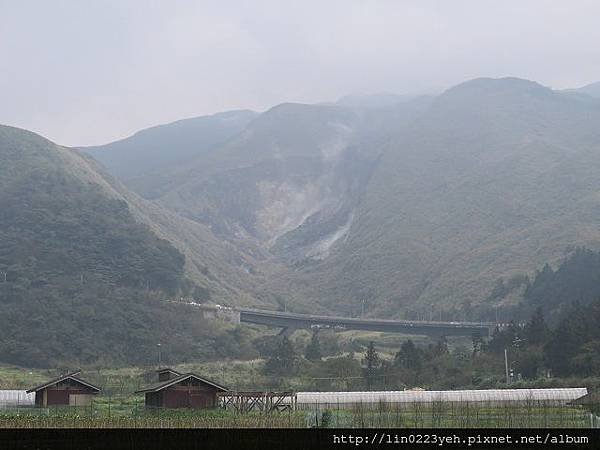 竹子湖 
