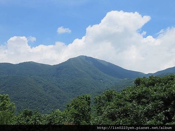 陽明山~隨拍 