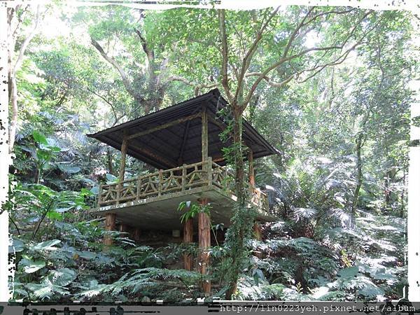 三峽大板根森林溫泉渡假村～隨拍