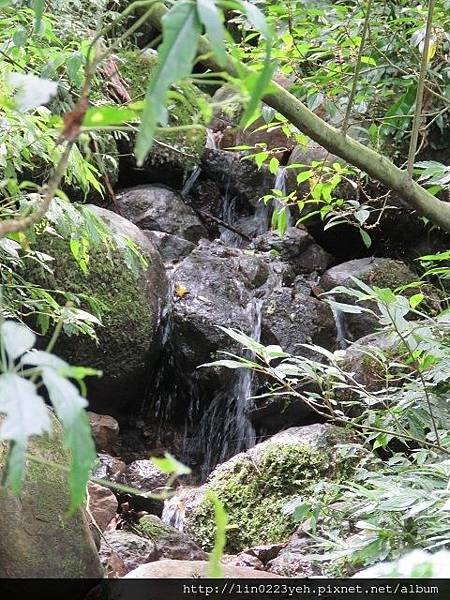 富士坪古道~隨拍