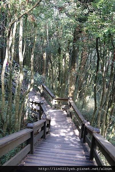 樂山林道~隨拍