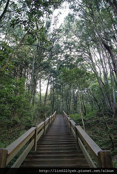 樂山林道~隨拍
