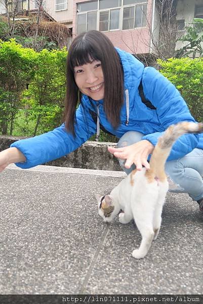 南庄東河吊橋