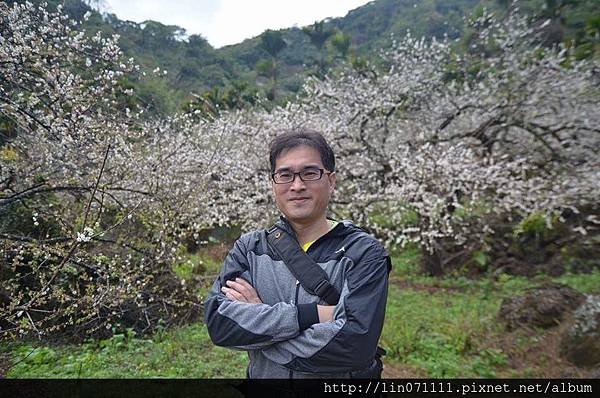 南投縣信義鄉牛稠坑汪家梅園