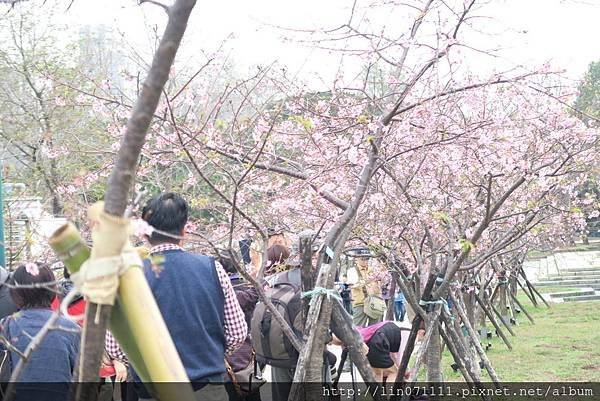 新竹公園