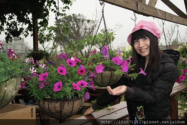 桃園花彩節溪海花卉園區