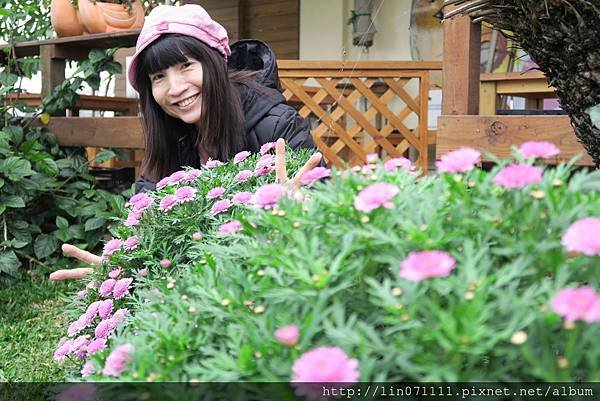 桃園花彩節溪海花卉園區