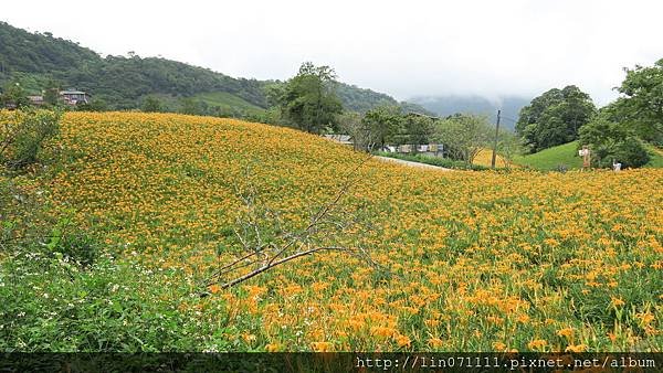 花蓮六十石山