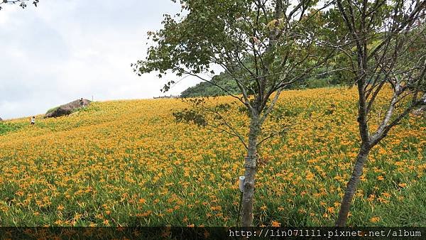 花蓮六十石山