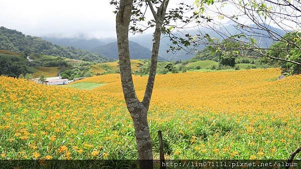 花蓮六十石山