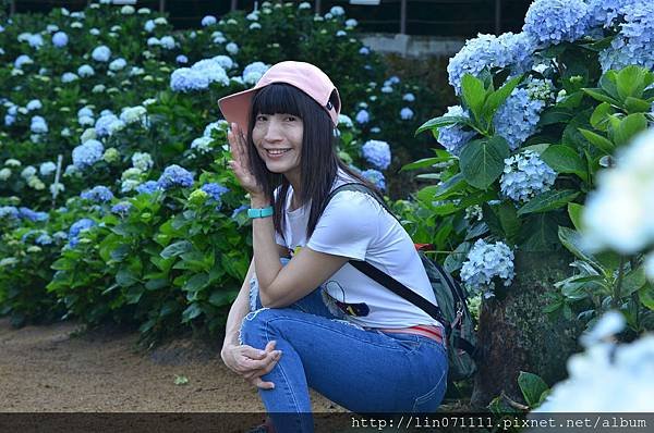高家繡花田