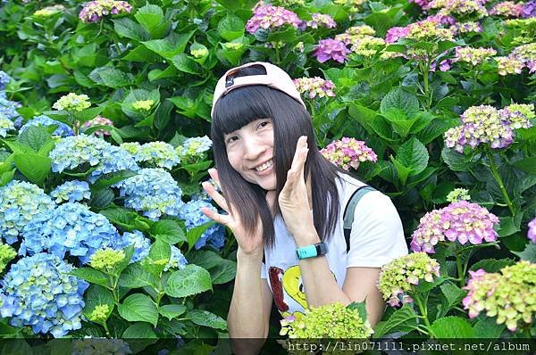 高家繡花田