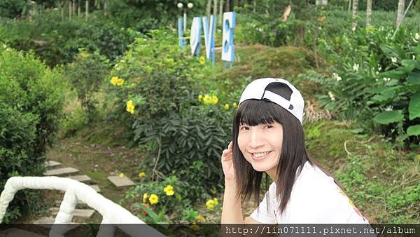 56號藍色公路咖啡