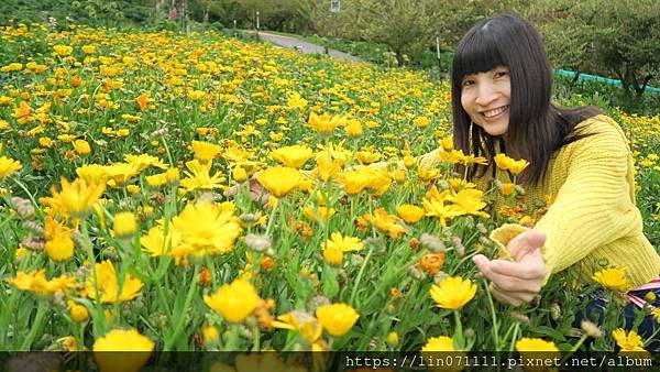 福壽山農場
