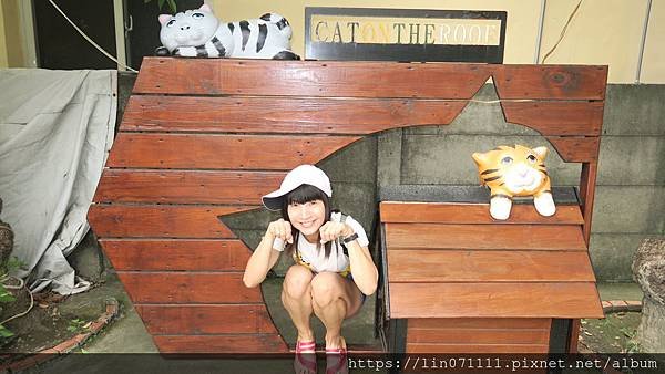 貓咪小學堂