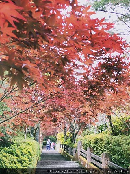 太平山森林遊樂區