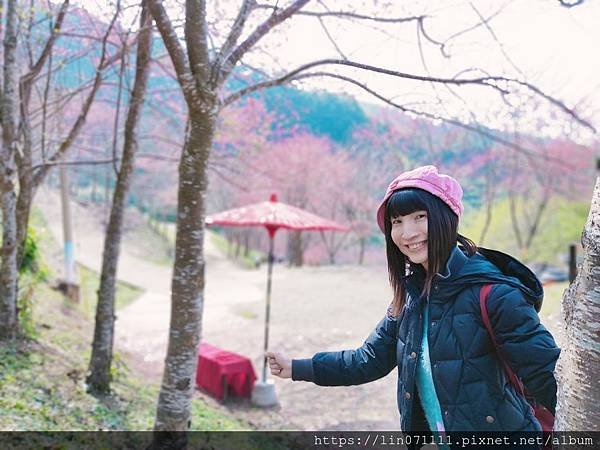 翠墨莊園
