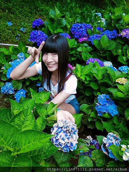 名陽匍休閒農莊