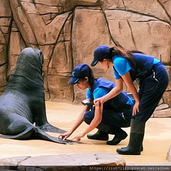 Xpark水族館