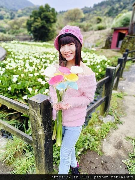 2024-03-09 陽明山「竹子湖海芋季」..網美必打卡.