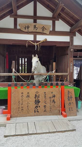20161023_132521.jpg