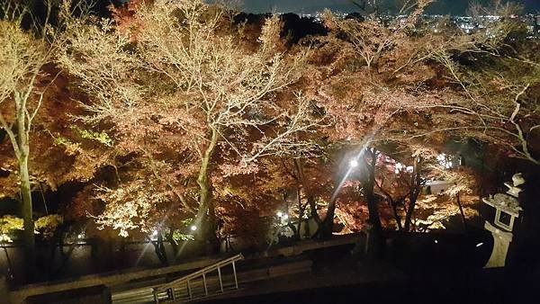 20161130_192703.jpg