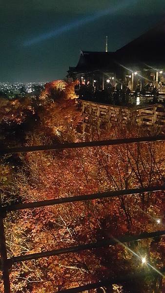 20161130_193901.jpg