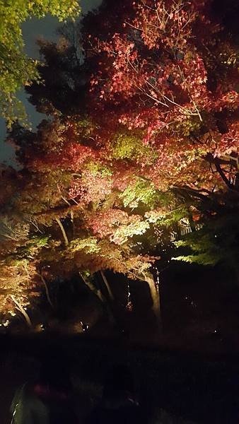 20161130_195456.jpg