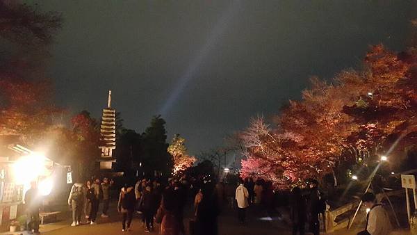 20161130_195528.jpg